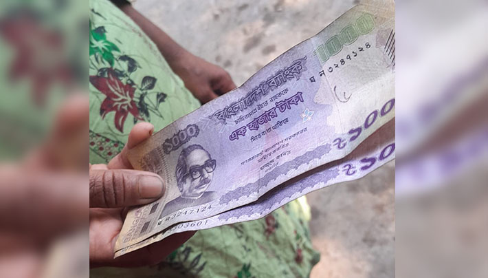 বিবি হাজেরা